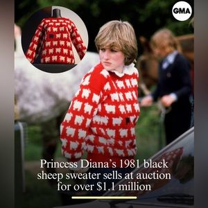 WARM & WONDERFUL WOMEN'S SHEEP SWEATER
WOMEN'S ORIGINAL "DIANA" SHEEP SWEATER